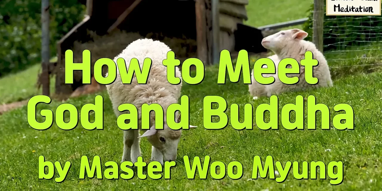🌼 How to Meet God and Buddha: Discovering the True Mind Through Wisdom and Cleansing | Master Woo Myung | Santa Clara Meditation