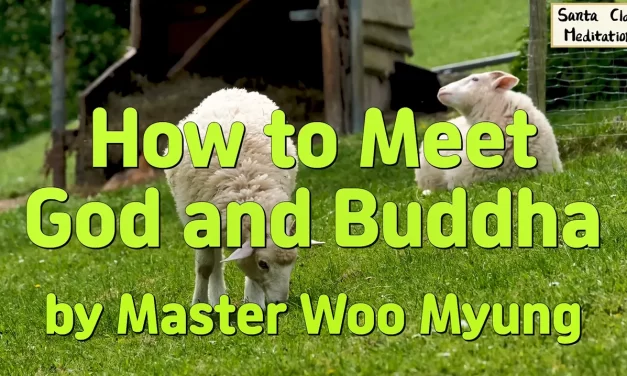 🌼 How to Meet God and Buddha: Discovering the True Mind Through Wisdom and Cleansing | Master Woo Myung | Santa Clara Meditation