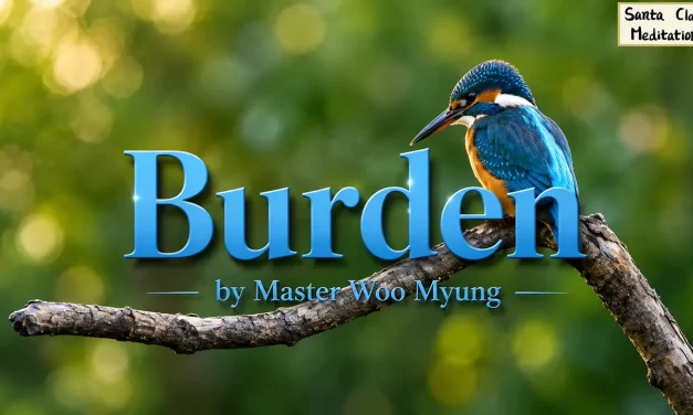 🎒 Burden: Why We Suffer from What Doesn’t Exist | Master Woo Myung | Santa Clara Meditation