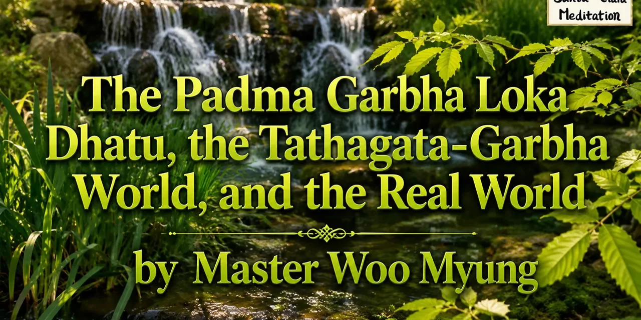 🌸 The Padma Garbha Loka Dhatu, the Tathagata-Garbha World, and the Real World | Master Woo Myung | Santa Clara Meditation