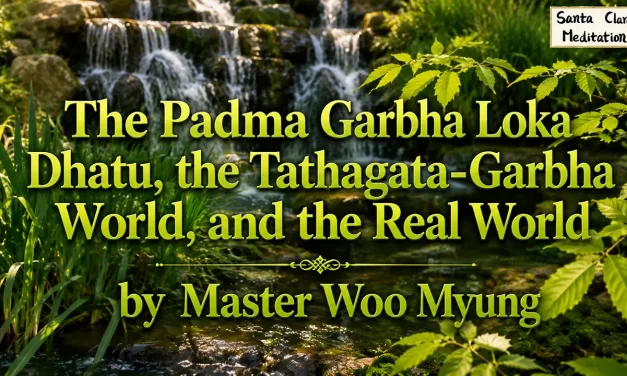 🌸 The Padma Garbha Loka Dhatu, the Tathagata-Garbha World, and the Real World | Master Woo Myung | Santa Clara Meditation