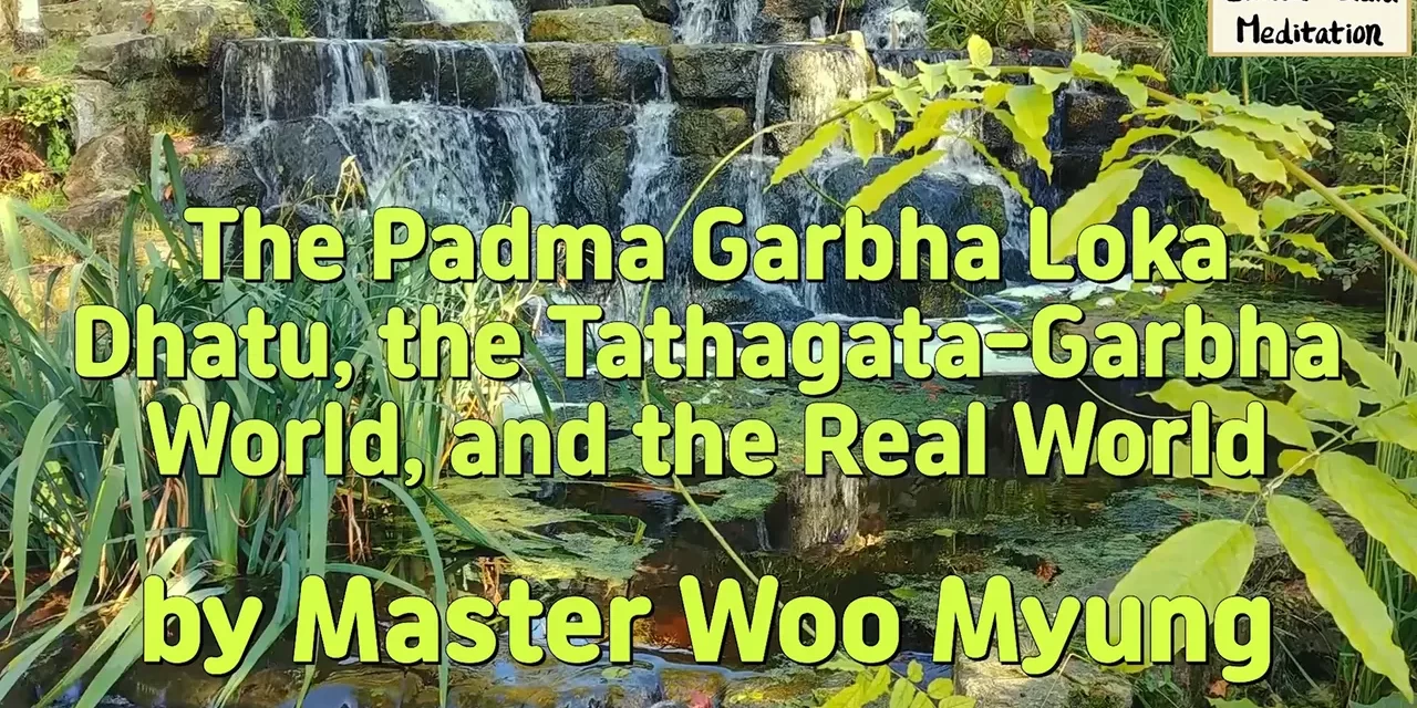 🌸 The Padma Garbha Loka Dhatu, the Tathagata-Garbha World, and the Real World | Master Woo Myung | Santa Clara Meditation
