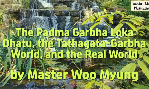 🌸 The Padma Garbha Loka Dhatu, the Tathagata-Garbha World, and the Real World | Master Woo Myung | Santa Clara Meditation