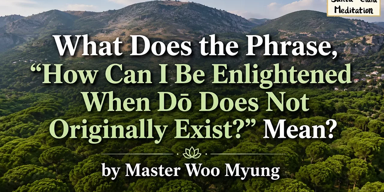 🌌 How Can I Be Enlightened When Dō Does Not Originally Exist?: dō as life itself | Master Woo Myung | Santa Clara Meditation