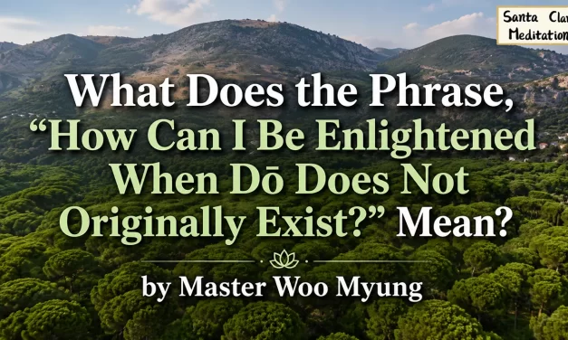 🌌 How Can I Be Enlightened When Dō Does Not Originally Exist?: dō as life itself | Master Woo Myung | Santa Clara Meditation