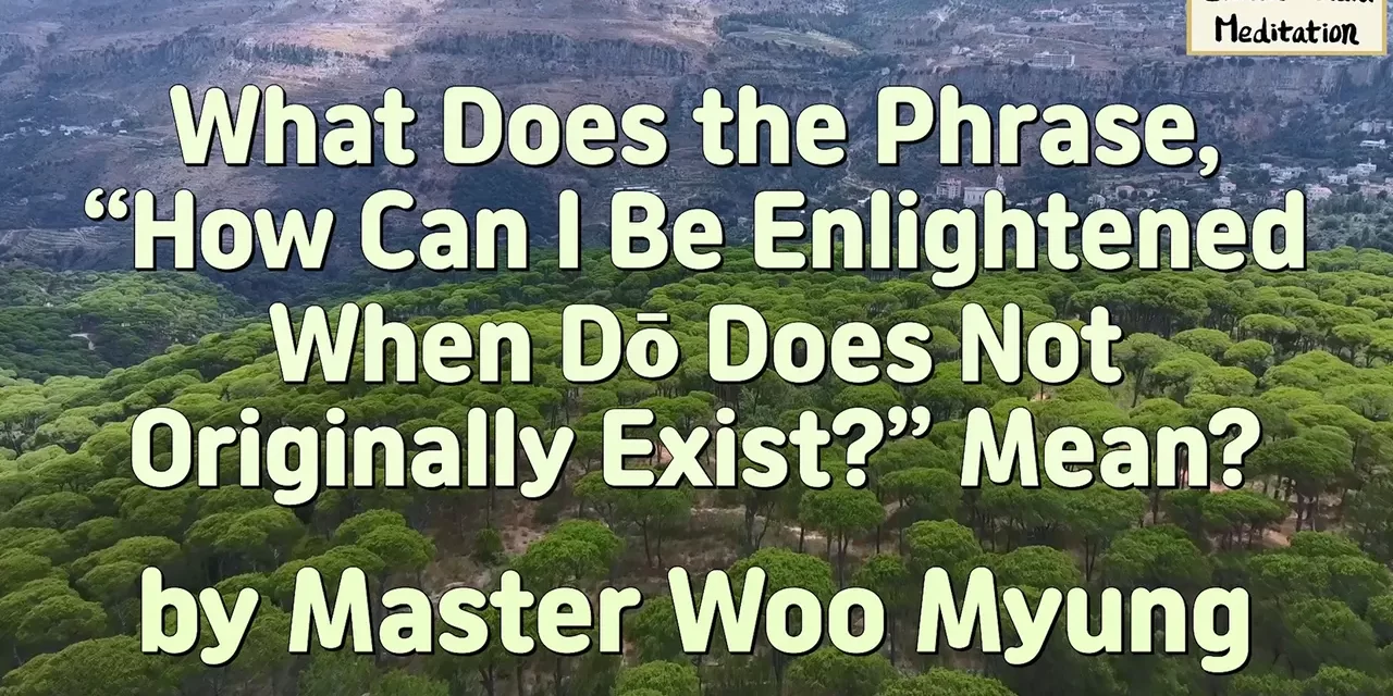 🌌 How Can I Be Enlightened When Dō Does Not Originally Exist?: dō as life itself | Master Woo Myung | Santa Clara Meditation