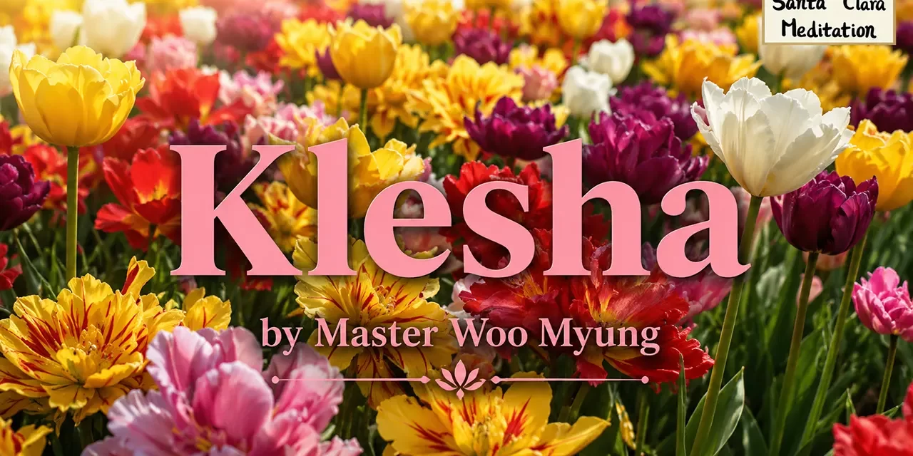 π Klesha: The Source of Delusion and the Path to True Wisdom | Master Woo Myung | Santa Clara Meditation