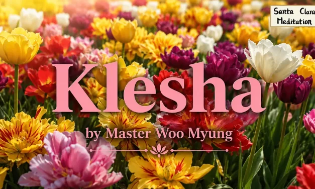 🌀 Klesha: The Source of Delusion and the Path to True Wisdom | Master Woo Myung | Santa Clara Meditation
