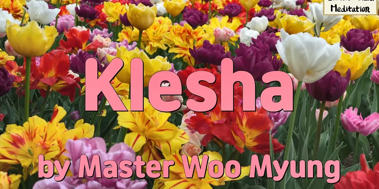 🌀 Klesha: The Source of Delusion and the Path to True Wisdom | Master Woo Myung | Santa Clara Meditation