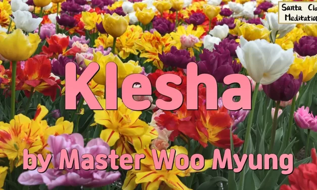🌀 Klesha: The Source of Delusion and the Path to True Wisdom | Master Woo Myung | Santa Clara Meditation