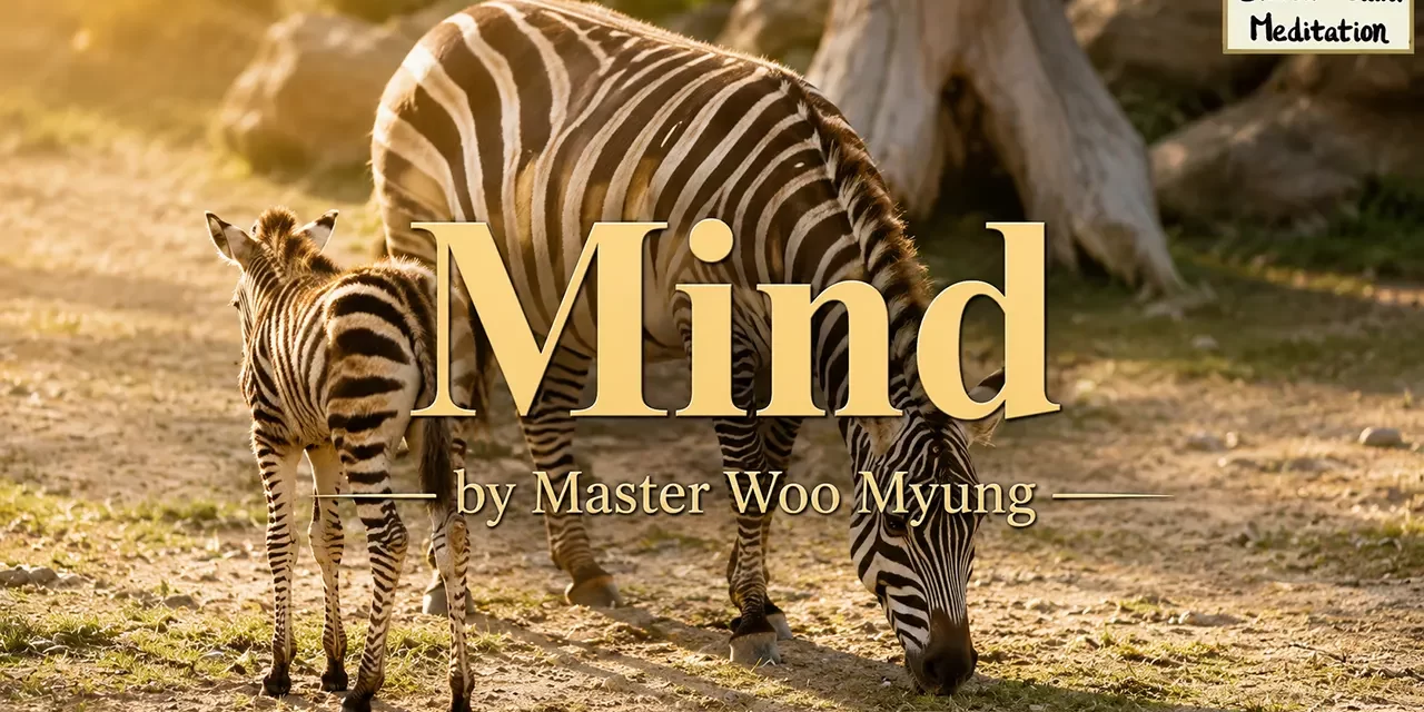 π Mind: The Invisible Master of All Existence | Master Woo Myung | Santa Clara Meditation