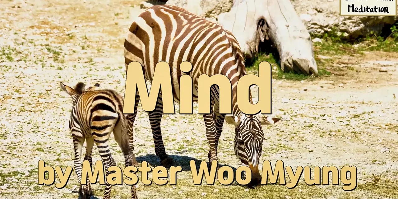 🌈 Mind: The Invisible Master of All Existence | Master Woo Myung | Santa Clara Meditation