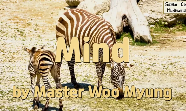 🌈 Mind: The Invisible Master of All Existence | Master Woo Myung | Santa Clara Meditation
