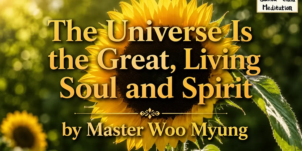 🌅 The Universe Is the Great, Living Soul and Spirit | Master Woo Myung | Santa Clara Meditation