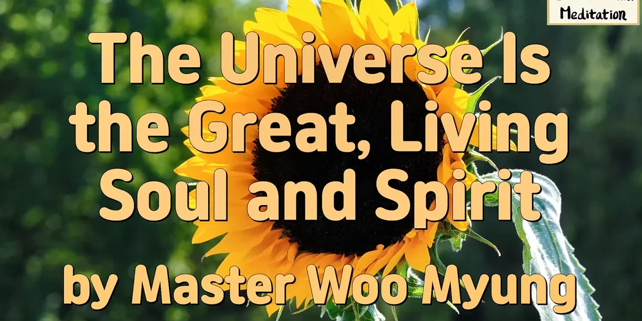 🌅 The Universe Is the Great, Living Soul and Spirit | Master Woo Myung | Santa Clara Meditation
