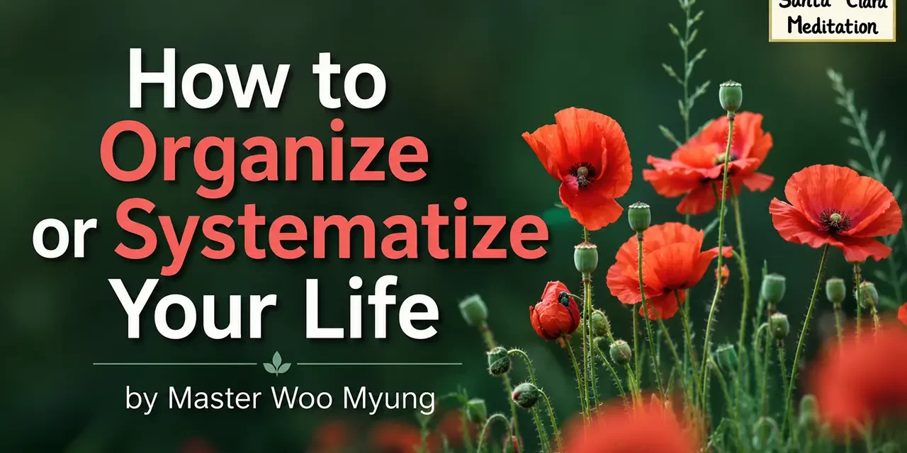 π§ How to Organize or Systematize Your Life by Becoming Truth | Master Woo Myung | Santa Clara Meditation