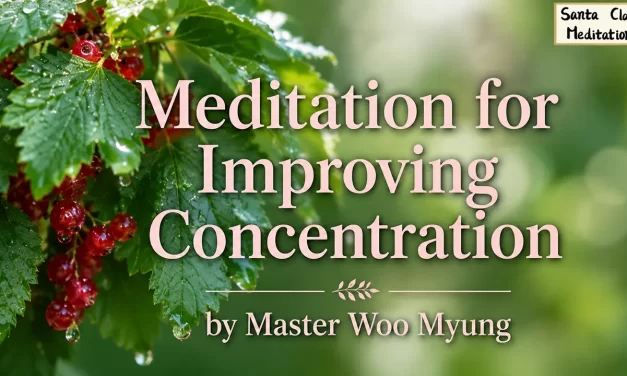 🌟 Meditation for Improving Concentration: How to Eliminate Distractions and Sharpen Focus | Master Woo Myung | Santa Clara Meditation
