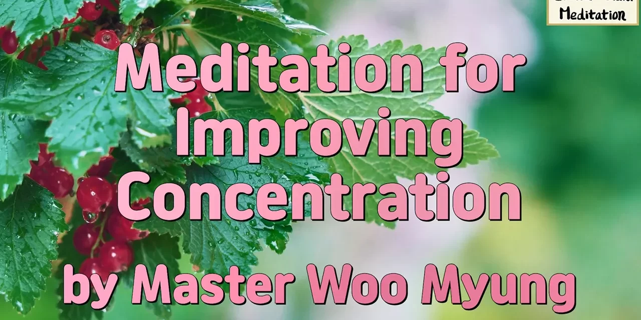 🌟 Meditation for Improving Concentration: How to Eliminate Distractions and Sharpen Focus | Master Woo Myung | Santa Clara Meditation