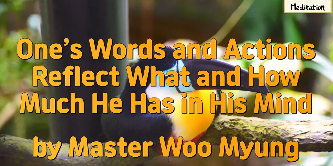 🌟 One’s Words and Actions Reflect What and How Much He Has in His Mind: self-centered mind vs truth | Master Woo Myung | Santa Clara Meditation