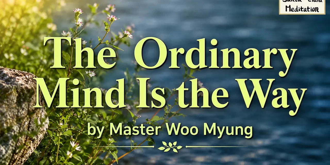 ๐ฟ The Ordinary Mind Is the Way: Returning to the Constant, Pure Mind of God | Master Woo Myung | Santa Clara Meditation