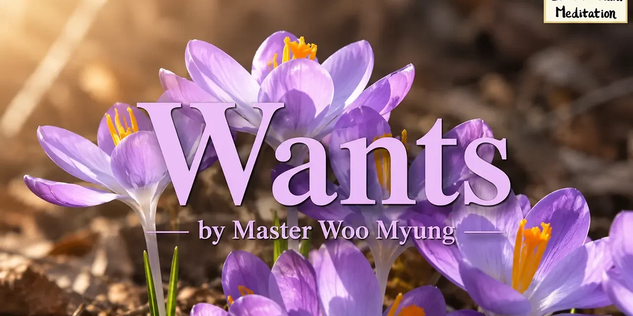 π Wants: Letting Go of Desire Is the Key to a True Life | Master Woo Myung | Santa Clara Meditation
