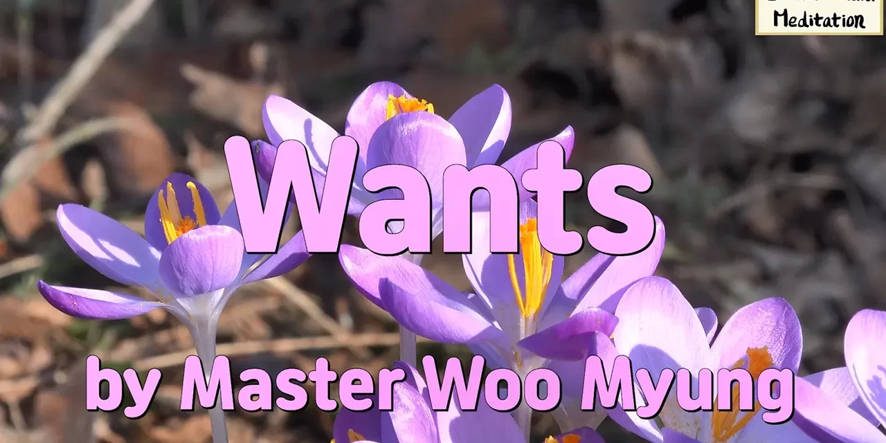 🌞 Wants: Letting Go of Desire Is the Key to a True Life | Master Woo Myung | Santa Clara Meditation