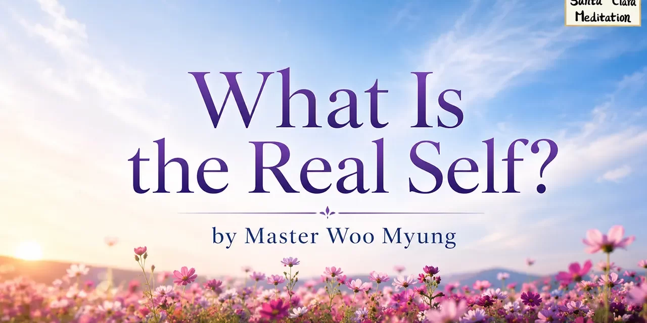 🌌 What Is the Real Self?: original mind and true existence | Master Woo Myung | Santa Clara Meditation