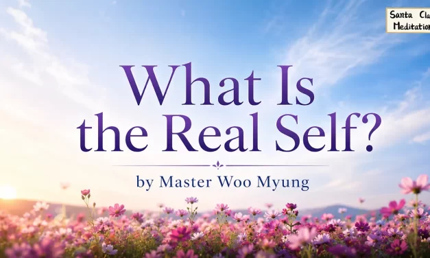 🌌 What Is the Real Self?: original mind and true existence | Master Woo Myung | Santa Clara Meditation