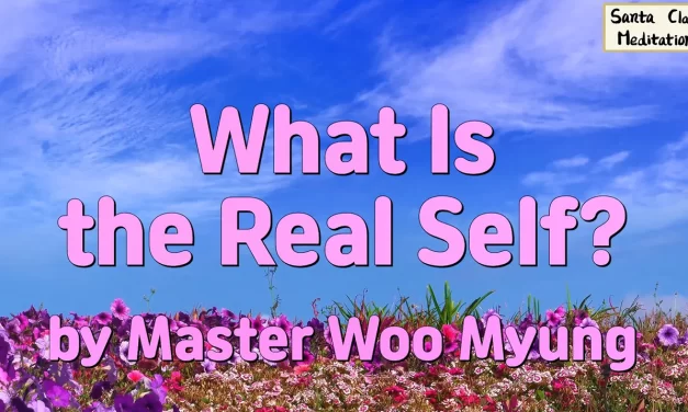 🌌 What Is the Real Self?: original mind and true existence | Master Woo Myung | Santa Clara Meditation
