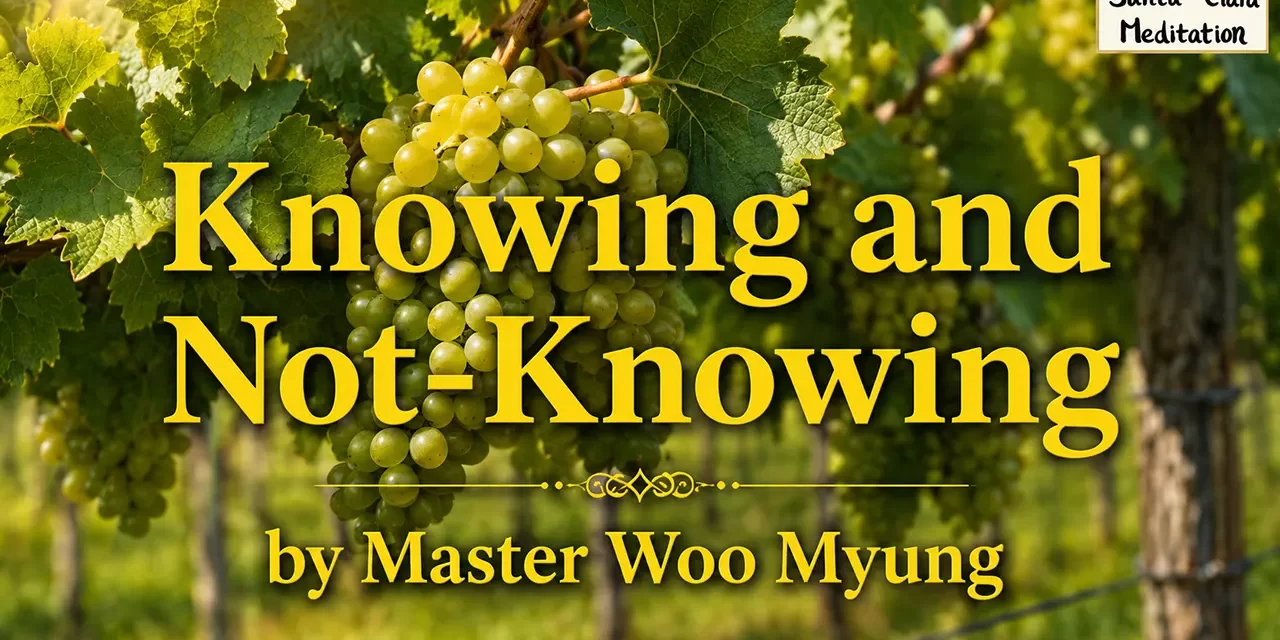 ๐ผ Knowing and Not Knowing: Why Man Remains the Most Ignorant Despite Living with Truth | Master Woo Myung | Santa Clara Meditation