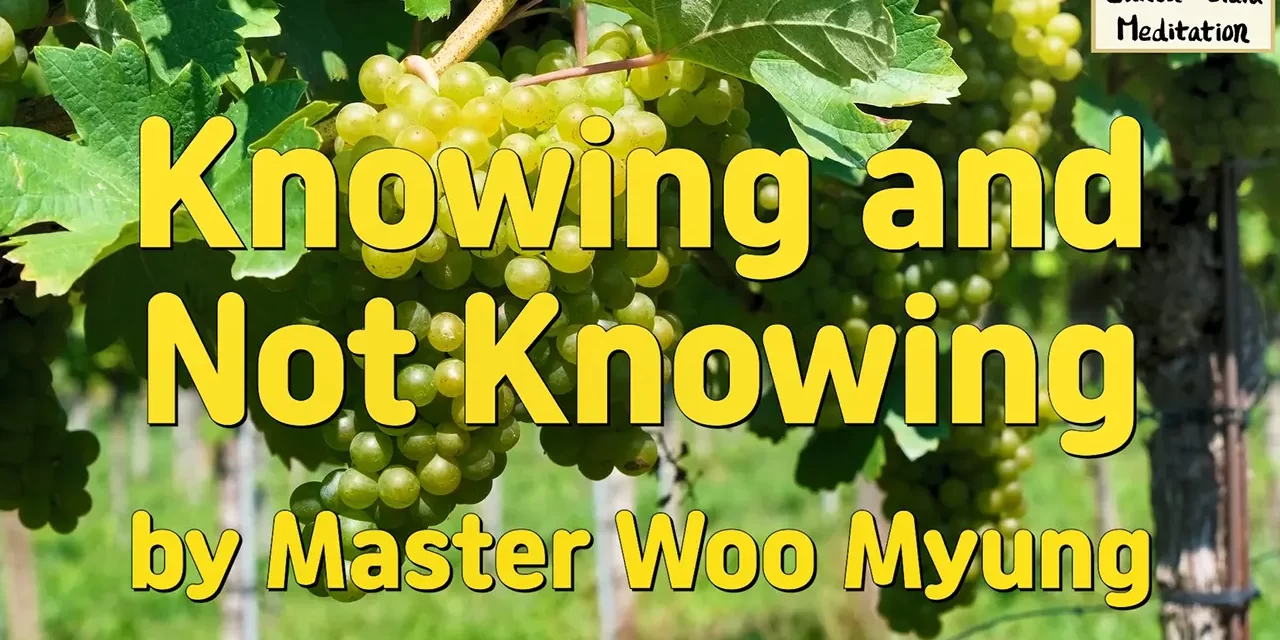 🌼 Knowing and Not Knowing: Why Man Remains the Most Ignorant Despite Living with Truth | Master Woo Myung | Santa Clara Meditation