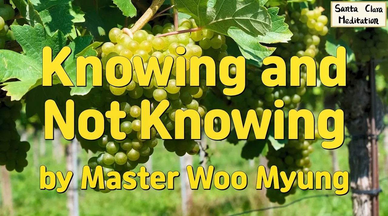 Man Not Knowing 🌼 Knowing and Not Knowing: Why Man Remains the Most Ignorant Despite ...