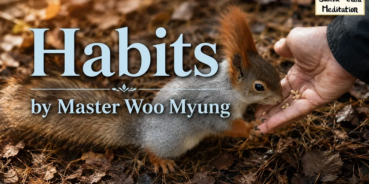 🎵 Habits: Letting Go of What Remains in the Mind | Master Woo Myung | Santa Clara Meditation