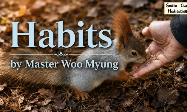 🎵 Habits: Letting Go of What Remains in the Mind | Master Woo Myung | Santa Clara Meditation