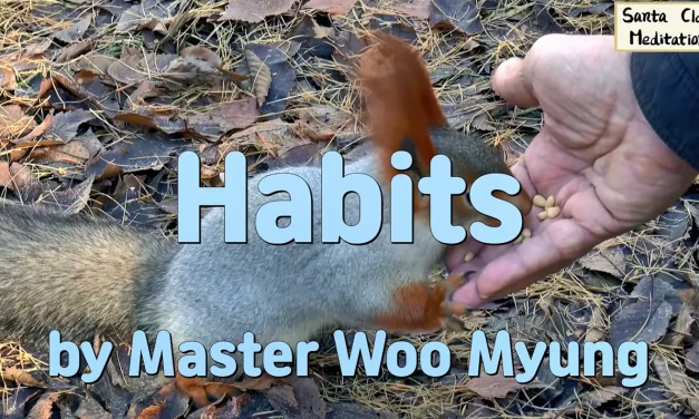 🎵 Habits: Letting Go of What Remains in the Mind | Master Woo Myung | Santa Clara Meditation
