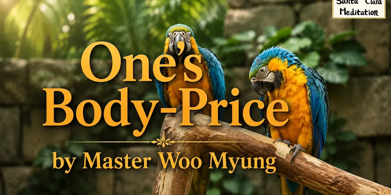 💎 One’s Body-Price: The Illusion of Self-Worth in a World of Self-Centeredness | Master Woo Myung | Santa Clara Meditation