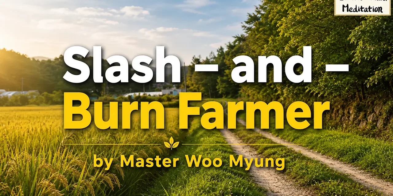 ποΈ Slash – and – Burn Farmer: The Simplicity of Nature and the Lost Warmth of Life | Master Woo Myung | Santa Clara Meditation