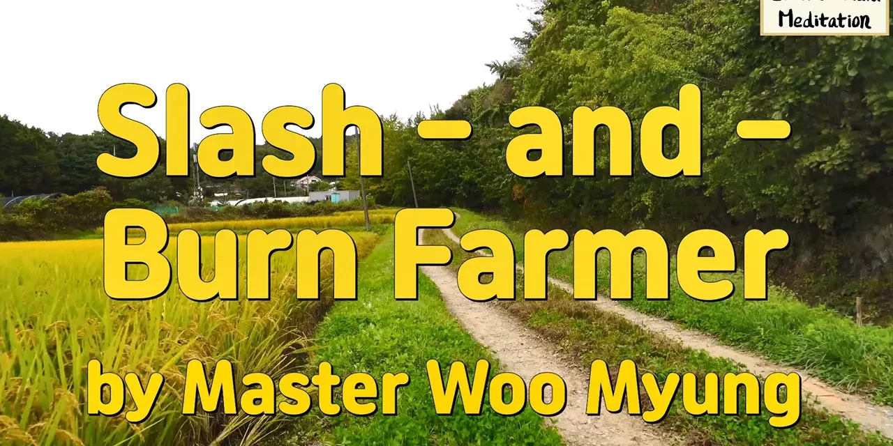 🏞️ Slash – and – Burn Farmer: The Simplicity of Nature and the Lost Warmth of Life | Master Woo Myung | Santa Clara Meditation