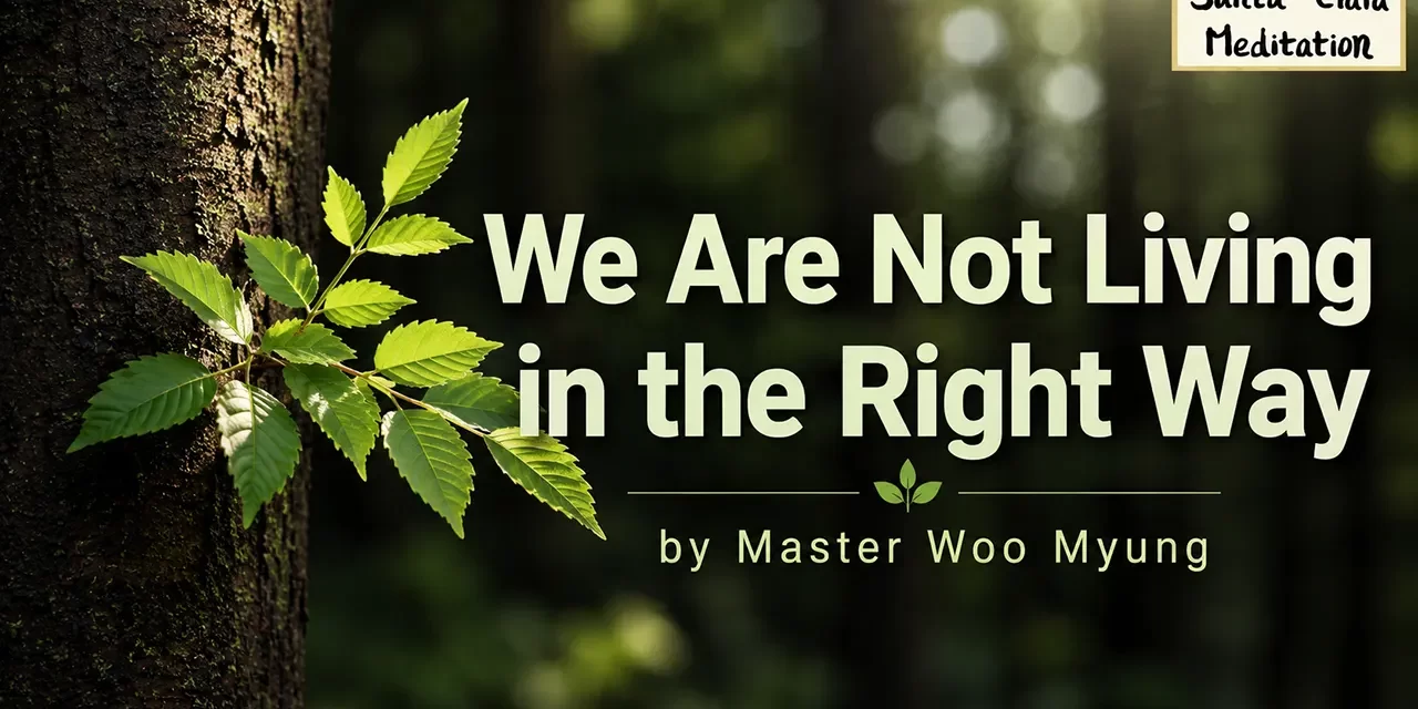 🧭 We Are Not Living in the Right Way: Escape the Illusion and Return to Righteousness | Master Woo Myung | Santa Clara Meditation