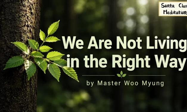 🧭 We Are Not Living in the Right Way: Escape the Illusion and Return to Righteousness | Master Woo Myung | Santa Clara Meditation