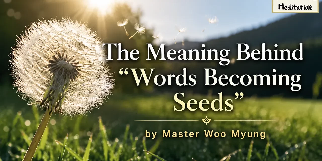 🌱 The Meaning Behind “Words Becoming Seeds”: The Power of Divine Creation | Master Woo Myung | Santa Clara Meditation