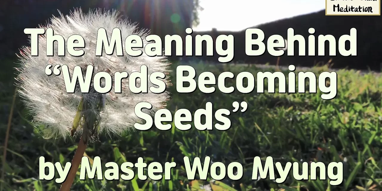 🌱 The Meaning Behind “Words Becoming Seeds”: The Power of Divine Creation | Master Woo Myung | Santa Clara Meditation