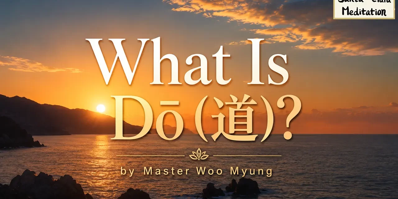 ๐ค๏ธ What is Dล (้)?: The Way to the Origin and the Non-Self | Master Woo Myung | Santa Clara Meditation