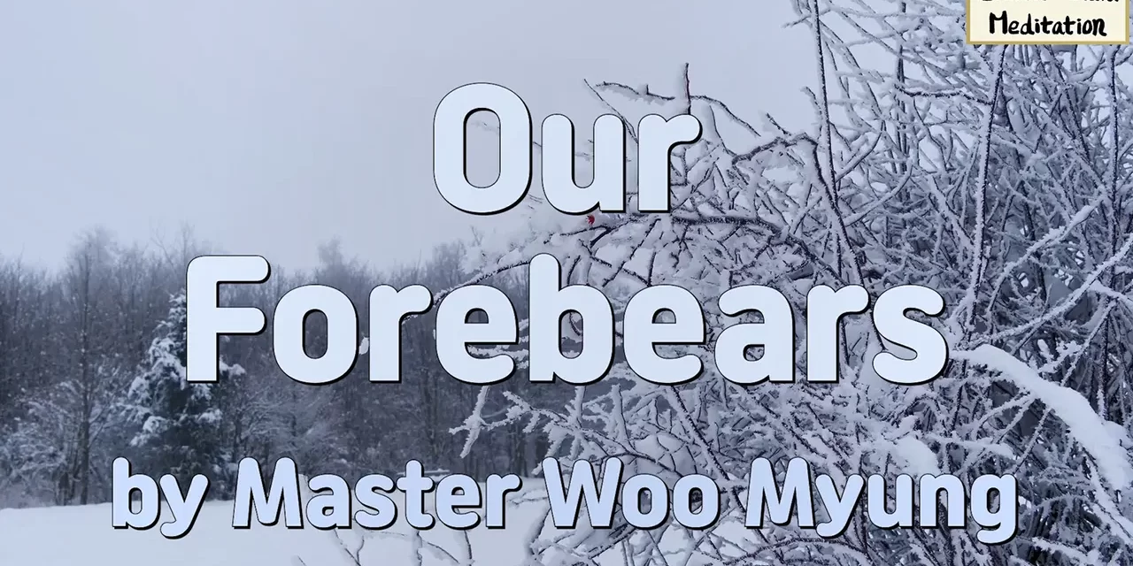 🕯️ Our Forebears: Lives Lived Without Knowing Life, Love, or Purpose | Master Woo Myung | Santa Clara Meditation