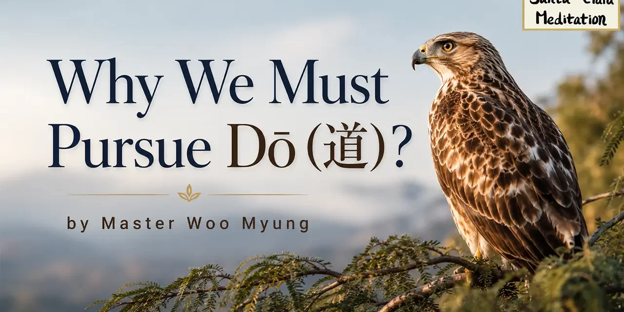 ✨ Why We Must Pursue Dō (道)?: The Urgent Call to Awaken to the Source | Master Woo Myung | Santa Clara Meditation