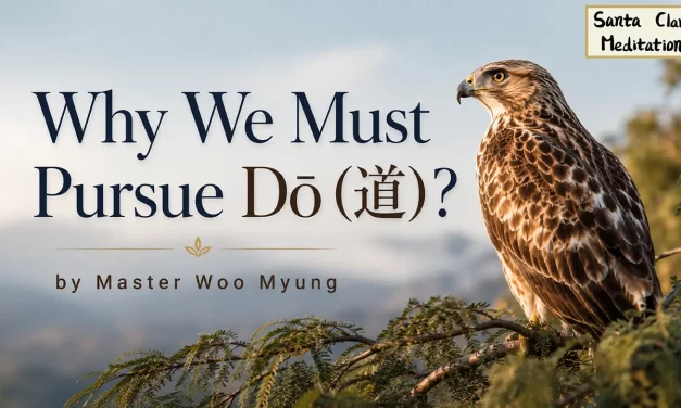 ✨ Why We Must Pursue Dō (道)?: The Urgent Call to Awaken to the Source | Master Woo Myung | Santa Clara Meditation