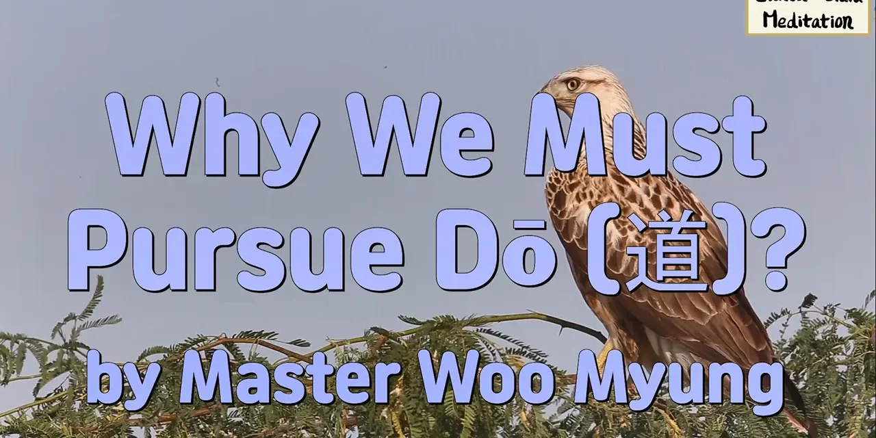 ✨ Why We Must Pursue Dō (道)?: The Urgent Call to Awaken to the Source | Master Woo Myung | Santa Clara Meditation