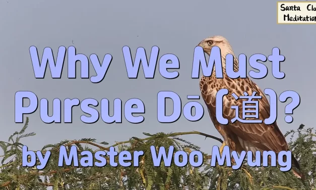 ✨ Why We Must Pursue Dō (道)?: The Urgent Call to Awaken to the Source | Master Woo Myung | Santa Clara Meditation