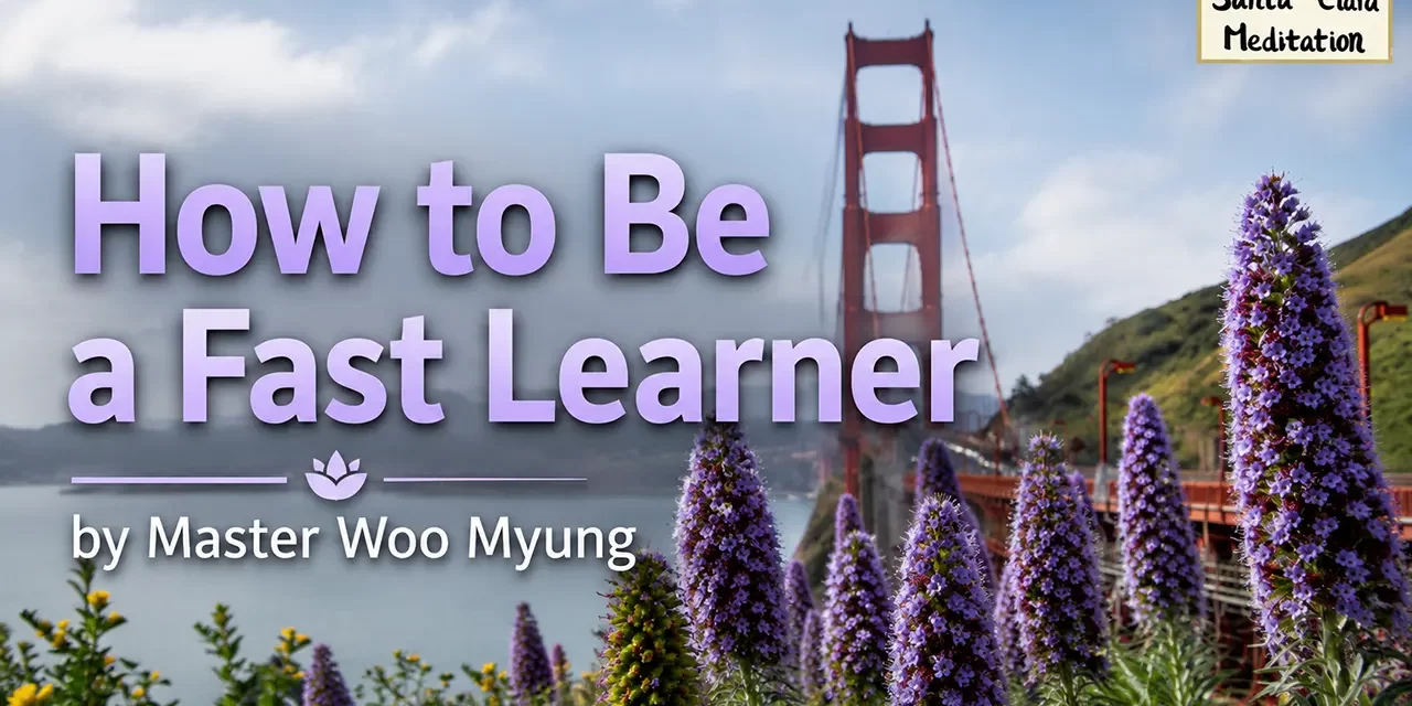 π How to Be a Fast Learner: Discard Thoughts and Focus Completely | Master Woo Myung | Santa Clara Meditation