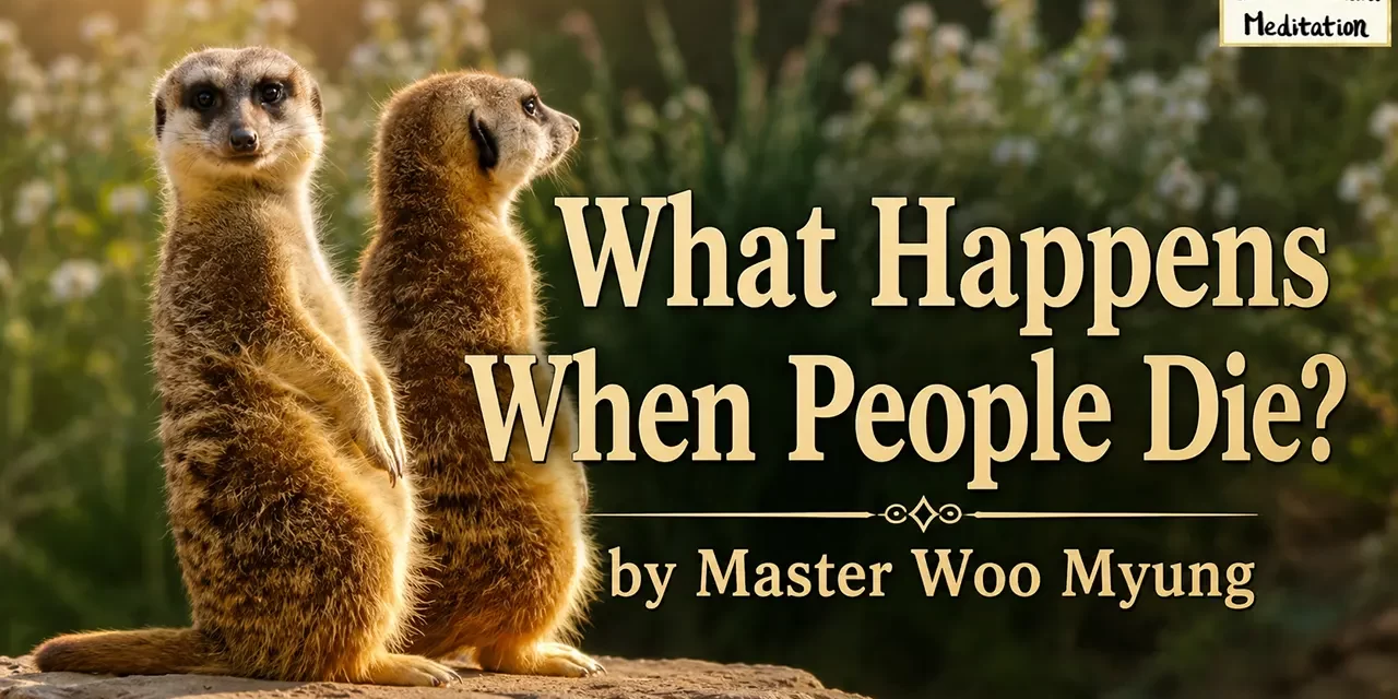 ๐
What Happens When People Die?: The Truth About Life, Death, and Eternal Existence | Master Woo Myung | Santa Clara Meditation